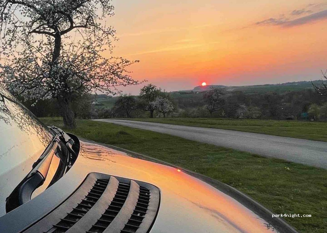 Weingut Wagner — foto 3
