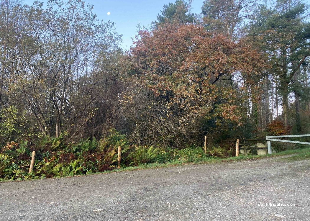 (PL30 4BB) Bodmin - Unnamed Road — foto 3