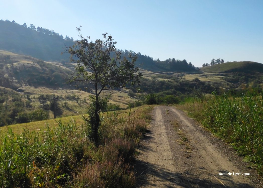 (127041) Beciu - Unnamed Road — foto 2
