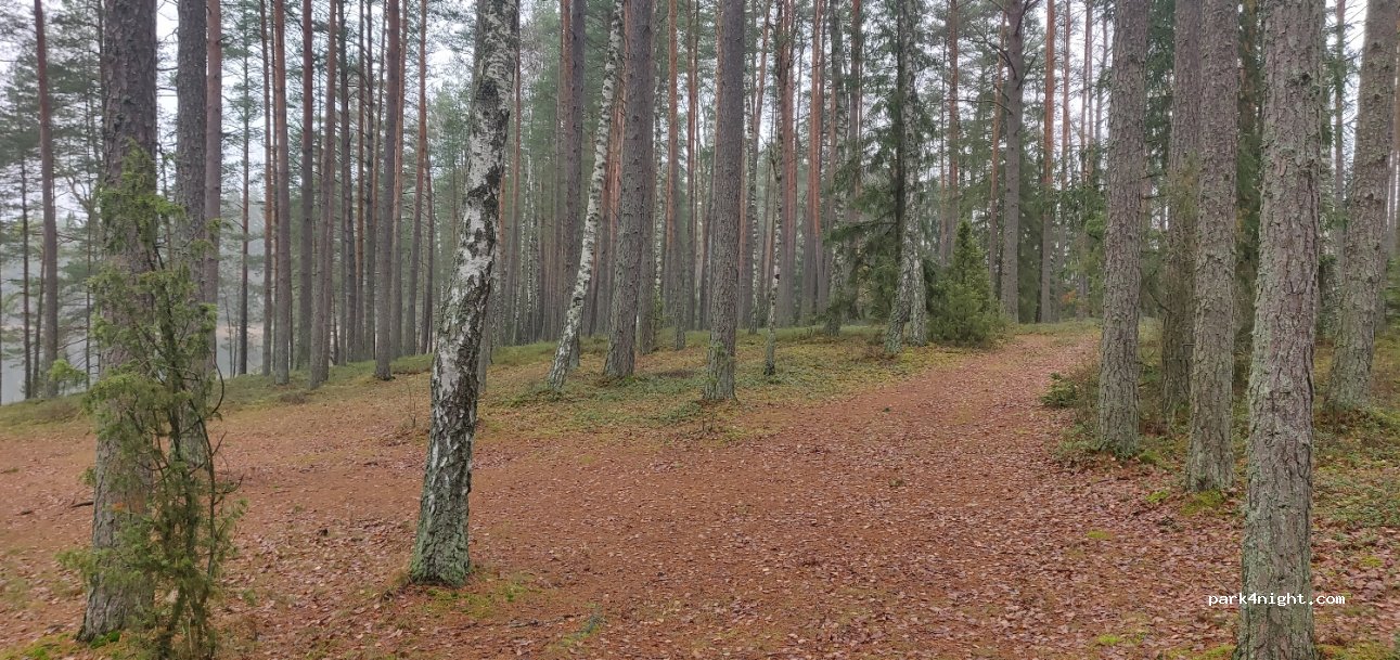 (18236) - Unnamed Road — foto 3