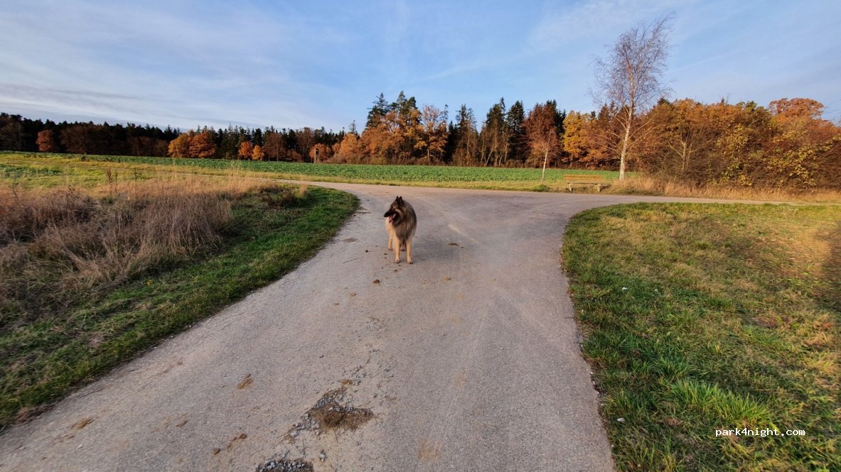 (72401) Haigerloch - K7166 — foto