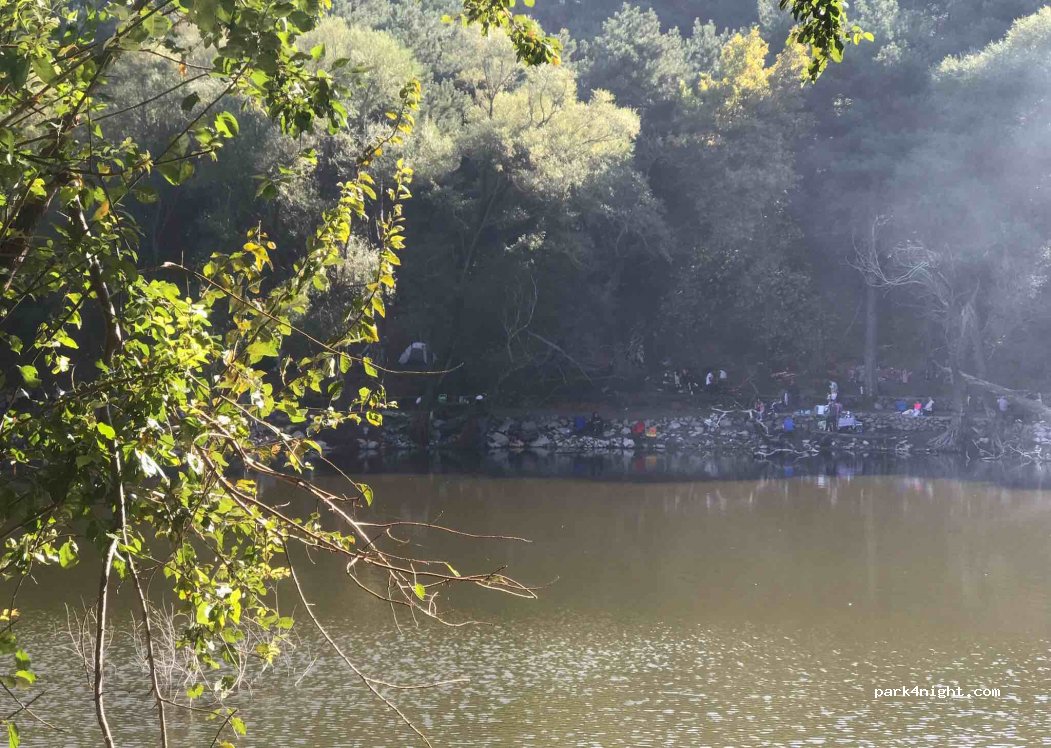 Karagöl Forest Camp — foto 2