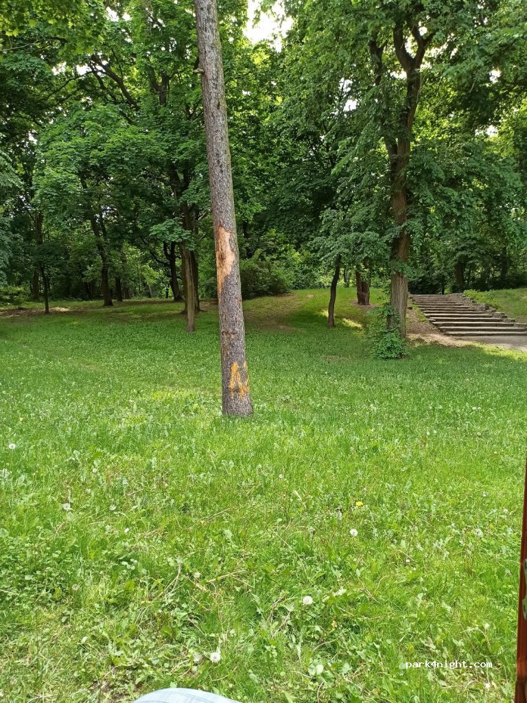 (87-100) Toruń - 57 Rybaki — foto 2