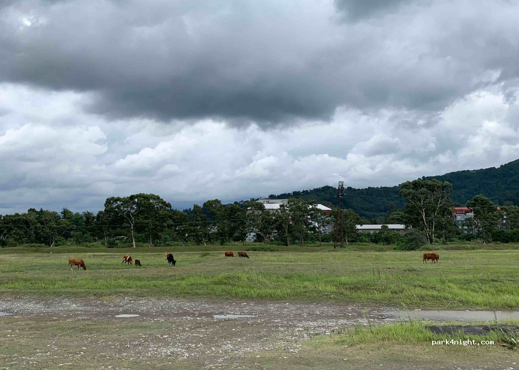 () Gonio - Unnamed Road — foto 2