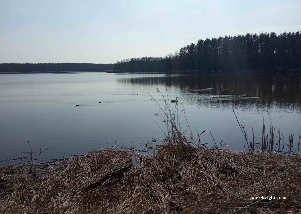 (56-100) Wrzosy - Unnamed Road — foto 2