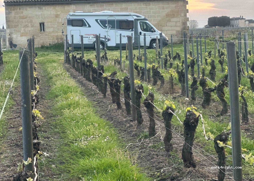 Château La Grâce Dieu Les Menuts — foto 4