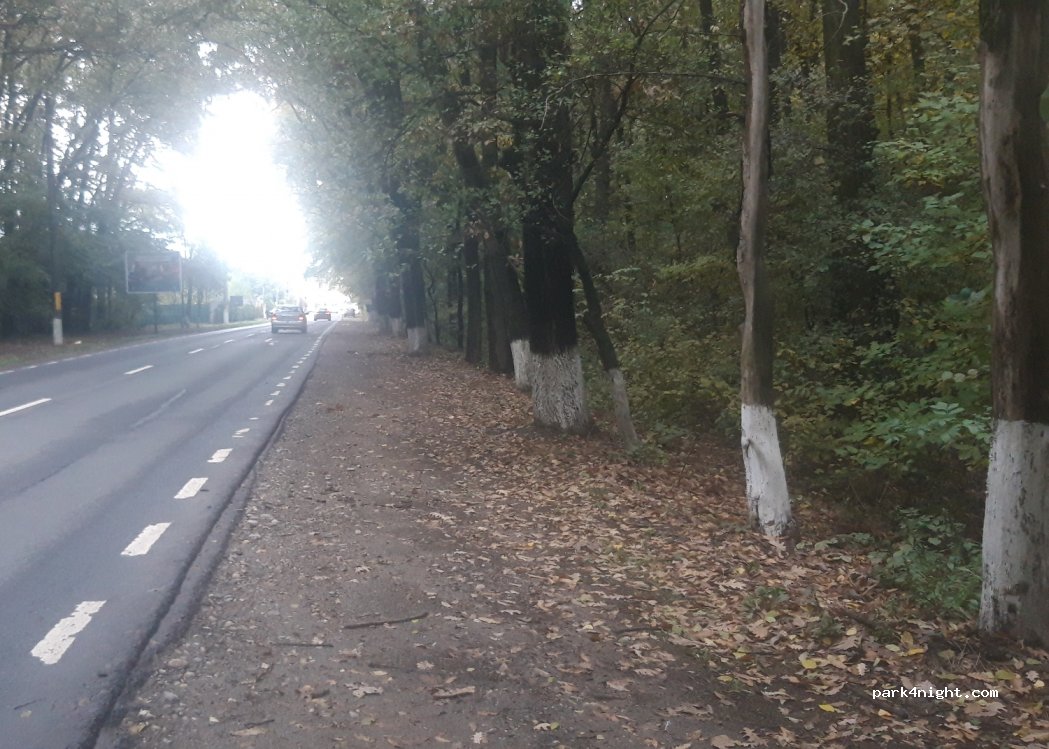 () Tamași - 255-256 Șoseaua Unirii — foto