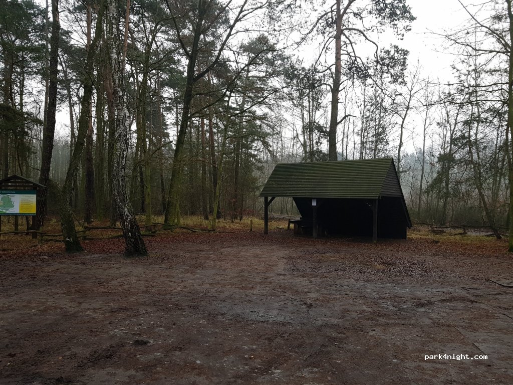 (62-800) Kalisz - — foto 2
