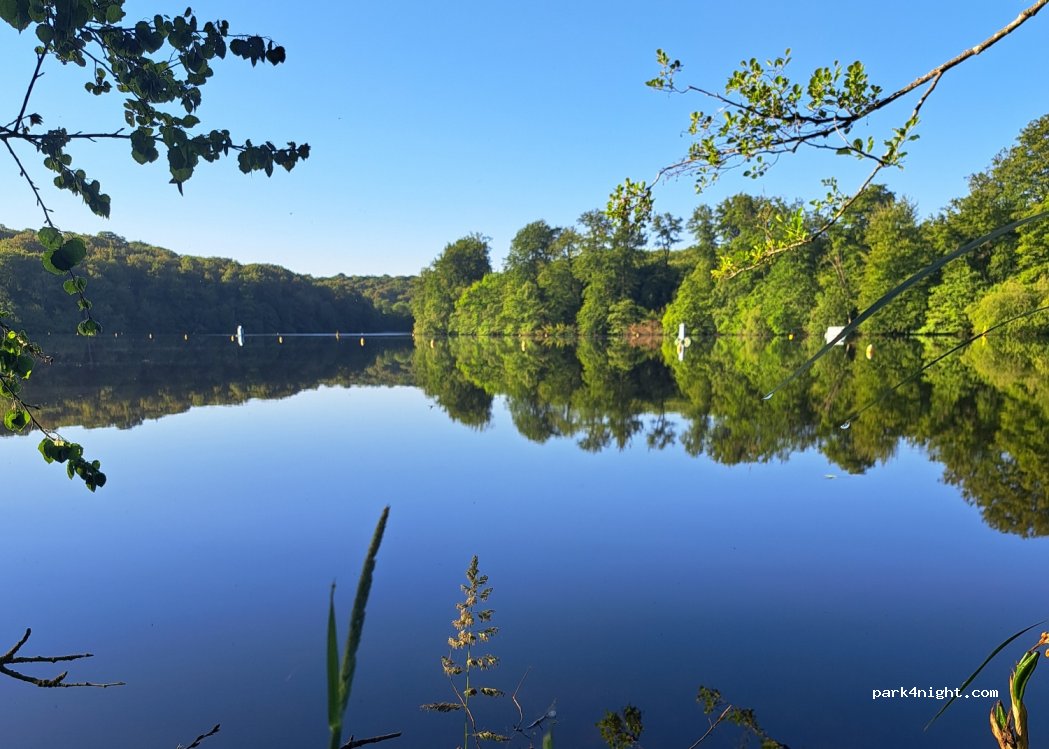 (35560) Bazouges-la-Pérouse - 1 Moulin de la Forêt — foto 4
