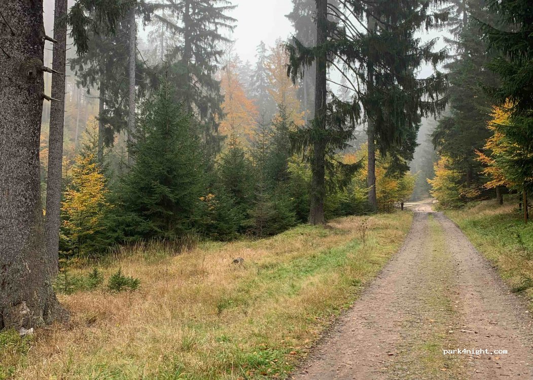 (57-550) Nowa Morawa - — foto 2