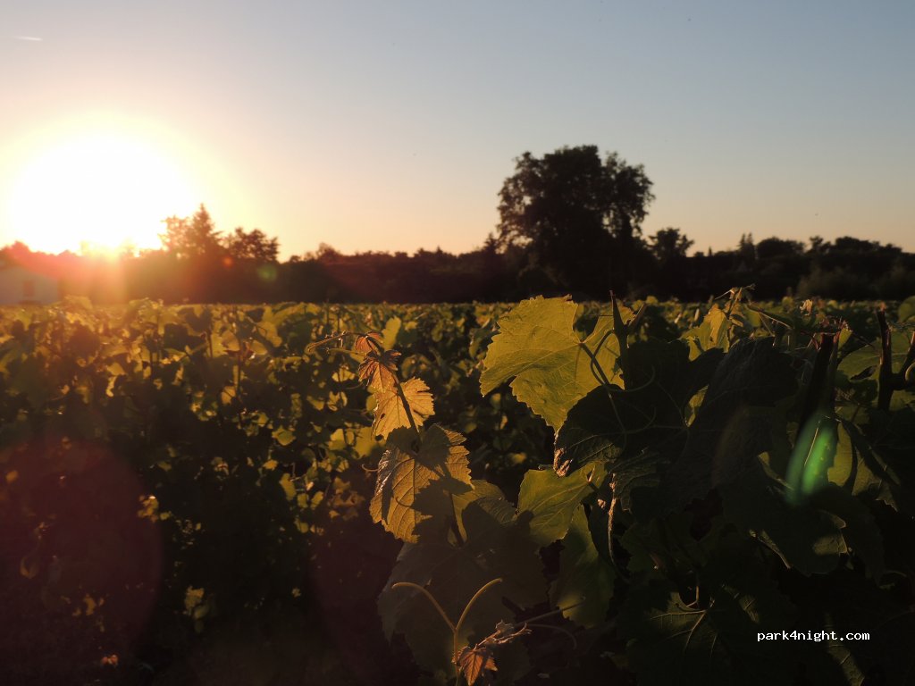 Domaine de  La Gauche — foto 4