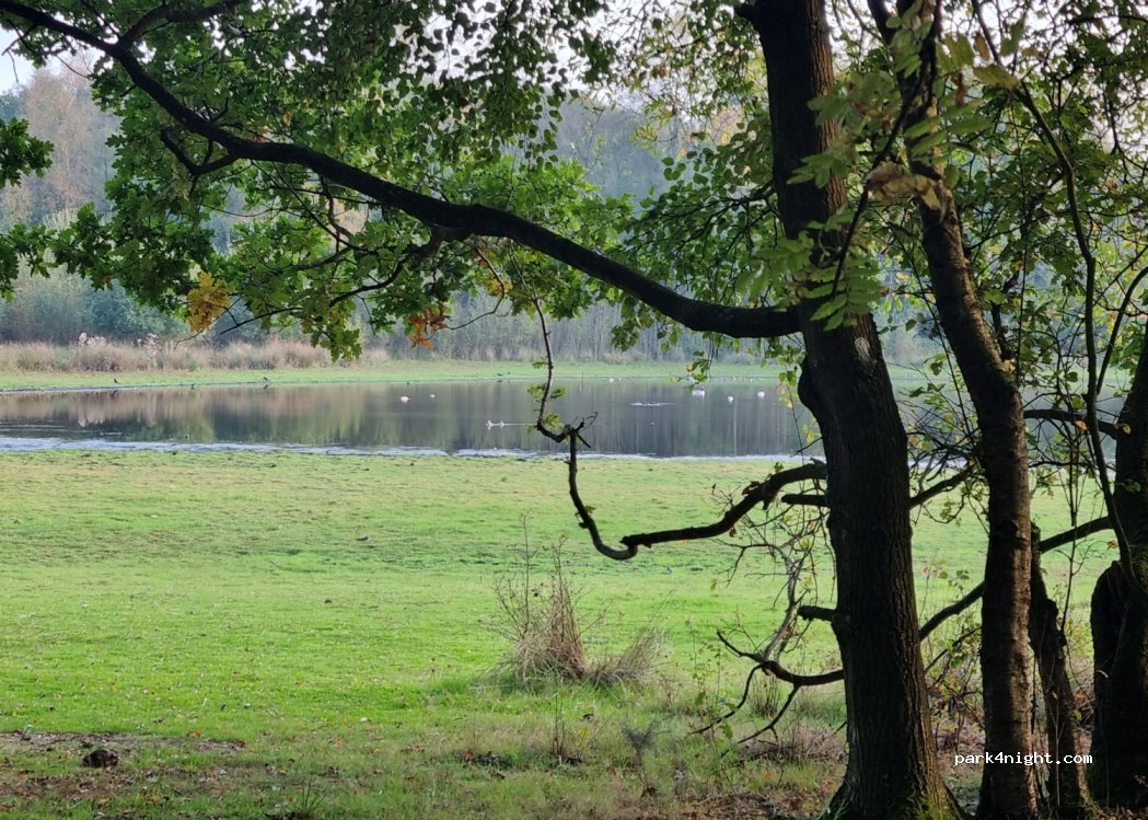 (SY13 4BX) - Brown Moss — foto 3