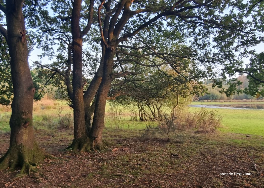 (SY13 4BX) - Brown Moss — foto 4