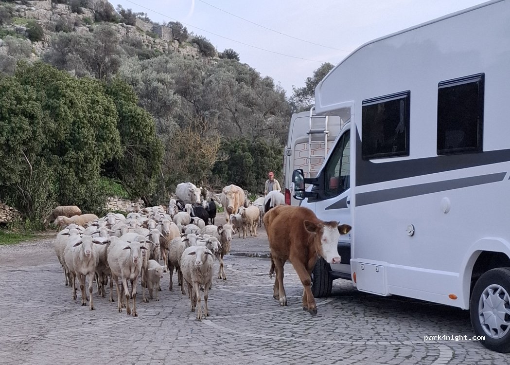 (48200) Muğla - Unnamed Road — foto 5