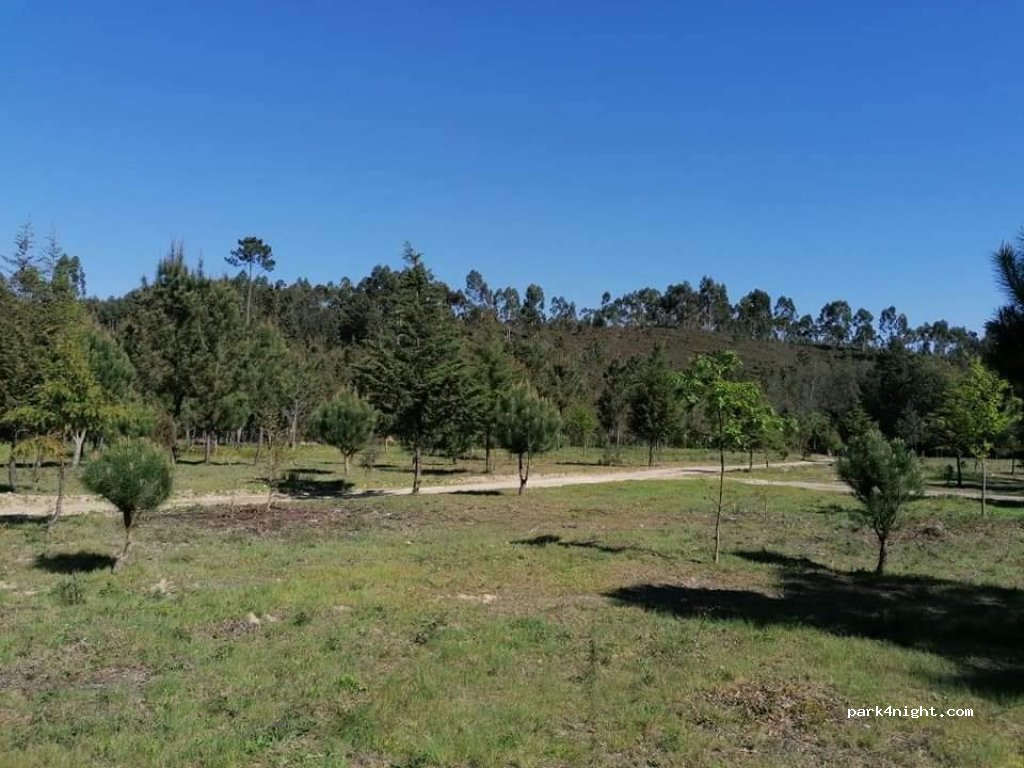 (3200)  - Unnamed Road — foto 2