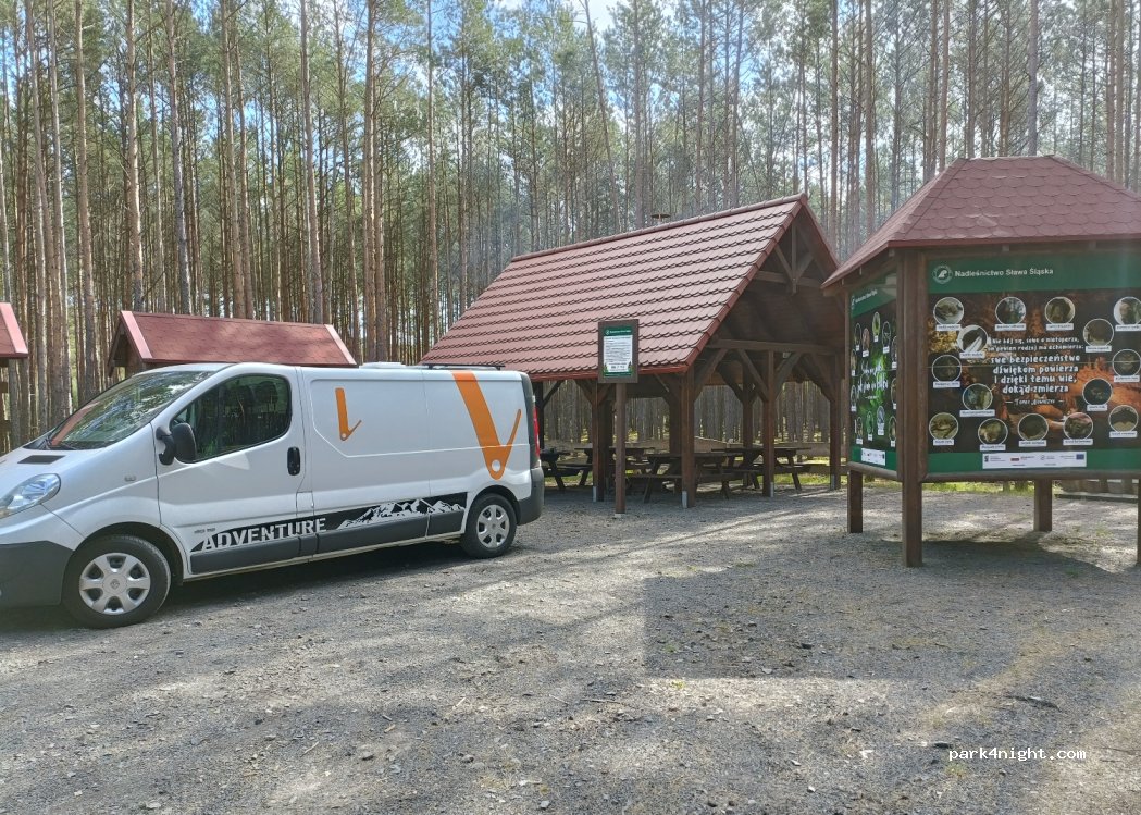 (64-224) Wilcze - — foto 4