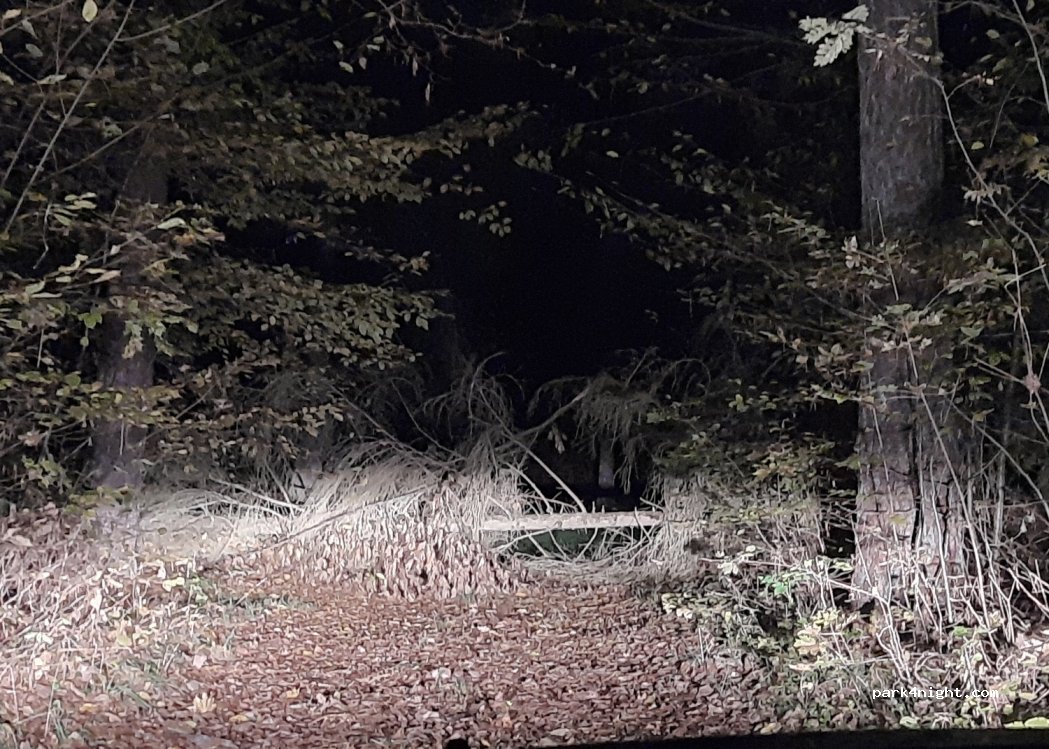 (11-730)  - Unnamed Road — foto 2