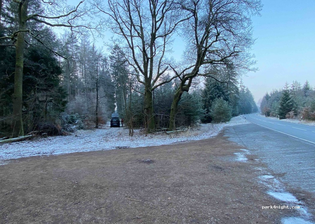(29473) Göhrde - L253 — foto 2