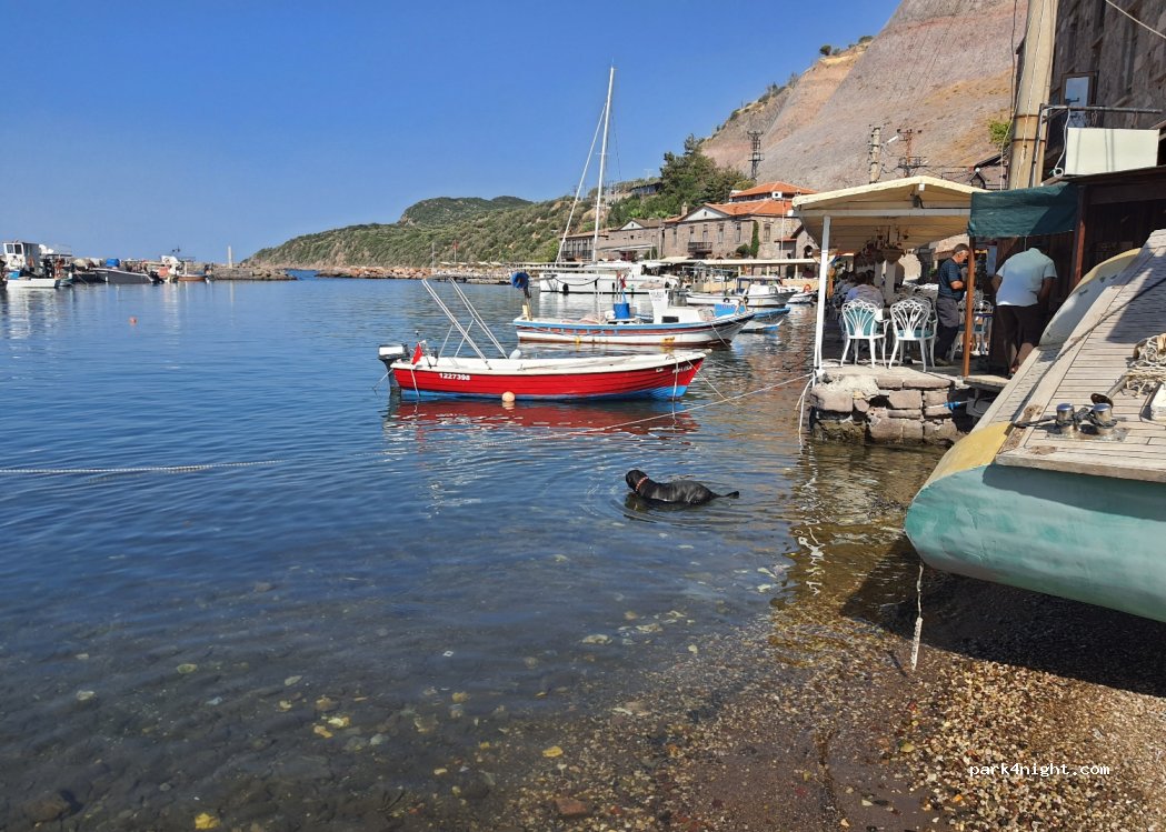 (17860)  - Behram Yolu — foto 4