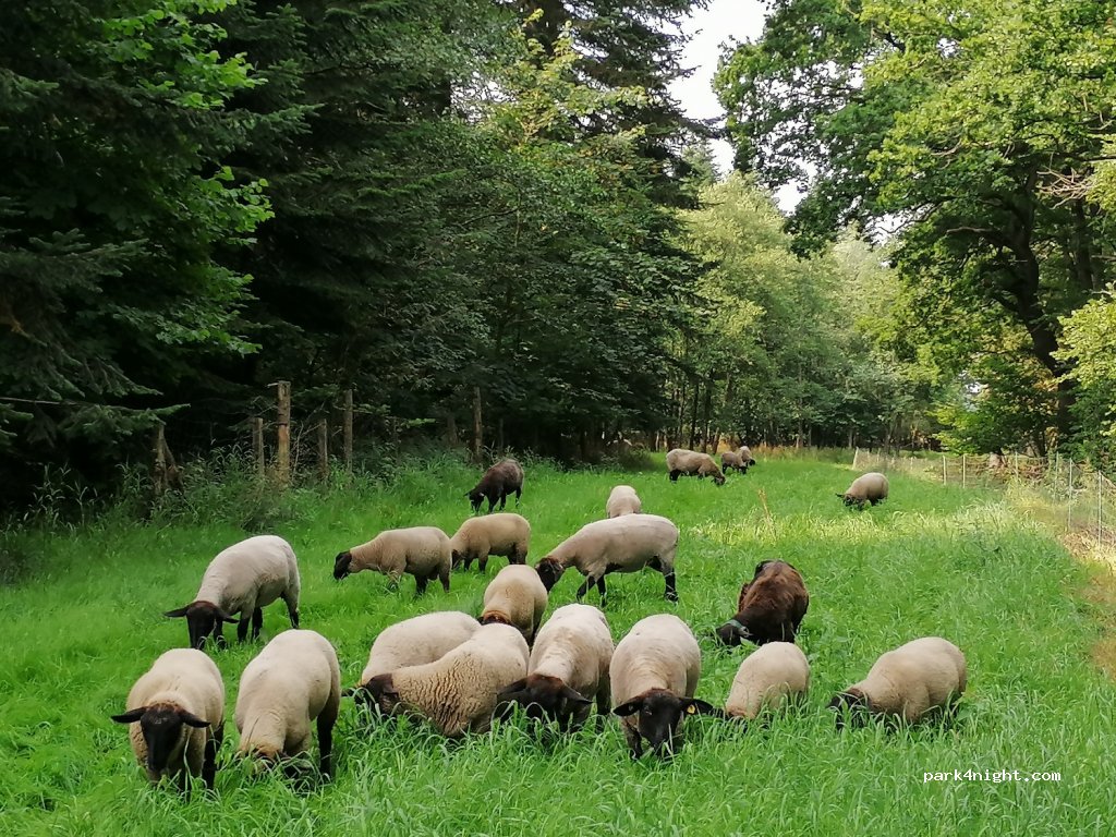 Farm - Famille Ciesla — foto