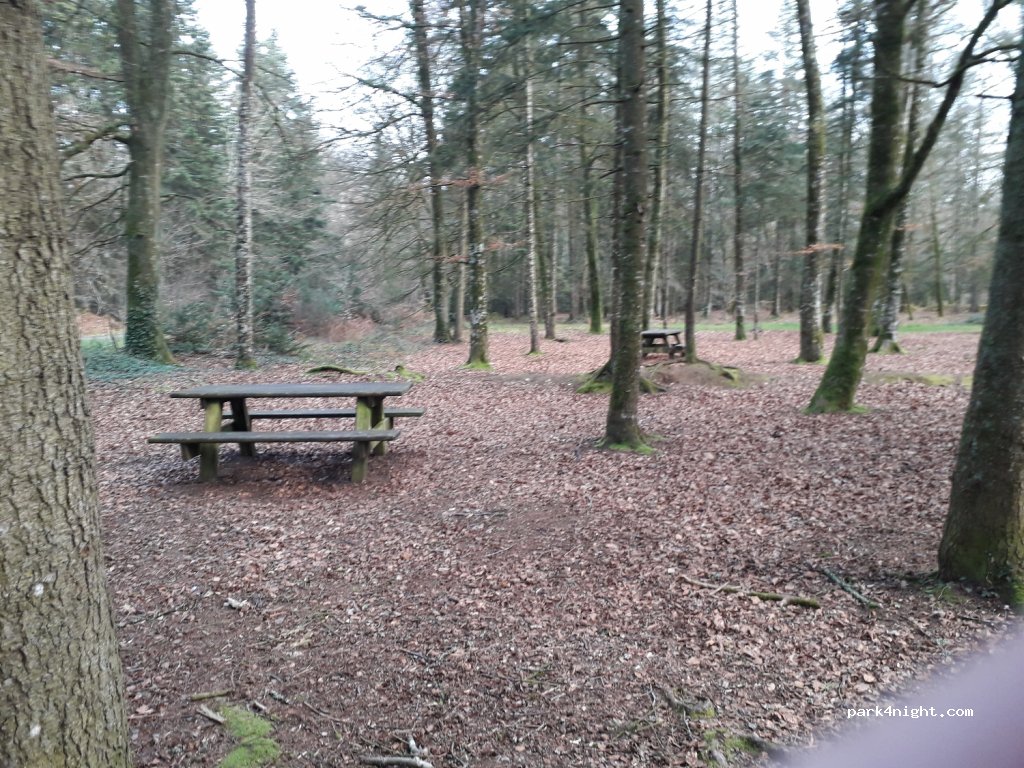 (35540) Le Tronchet - D9 — foto 2