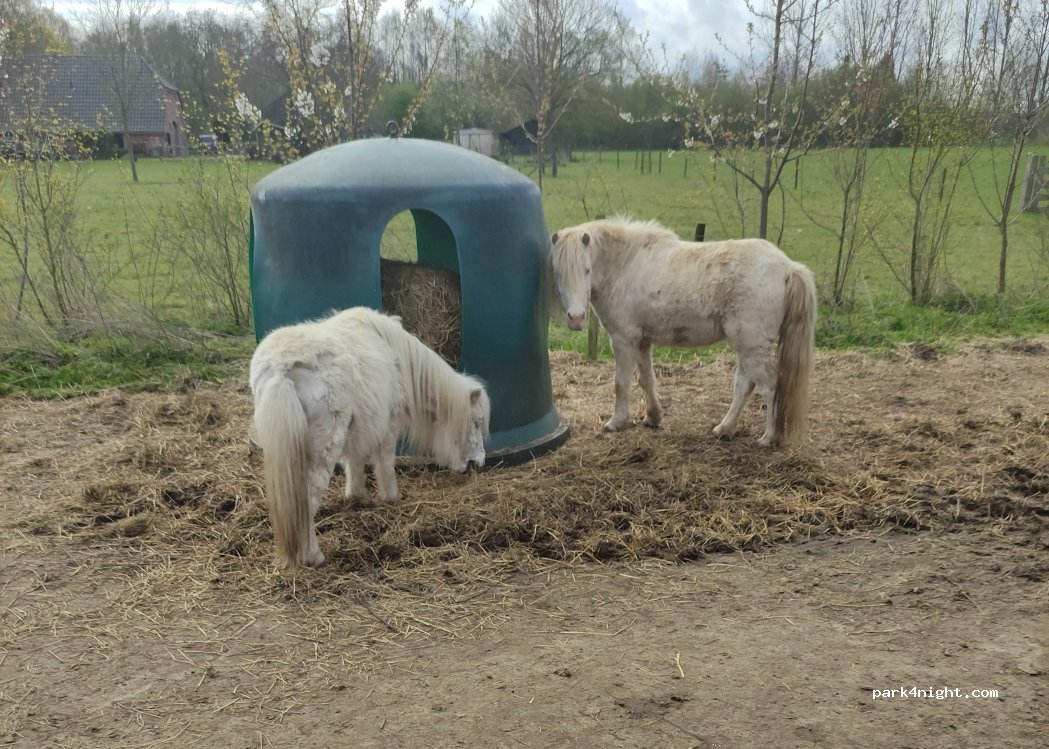 Mini-mini camping Wittebrinkse sferen — foto 5