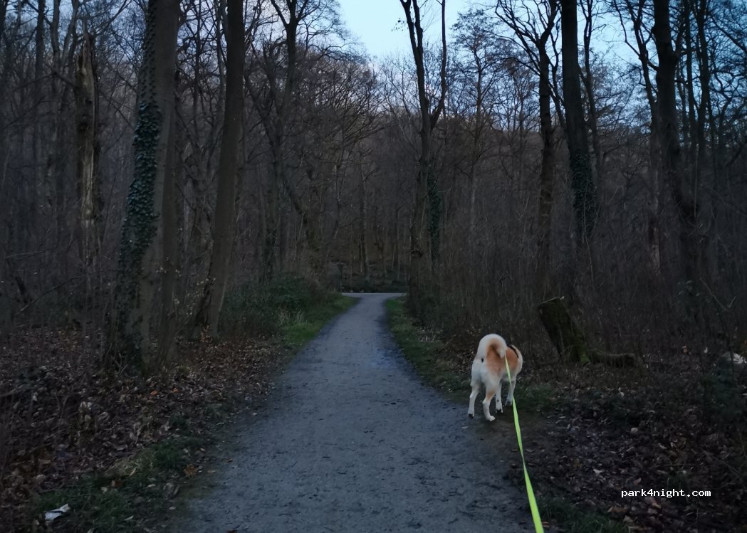 (52355) Düren - 183 Kreuzauer Straße — foto 2