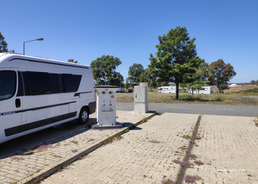 (8970-305) Pereiro - N124 — foto 4