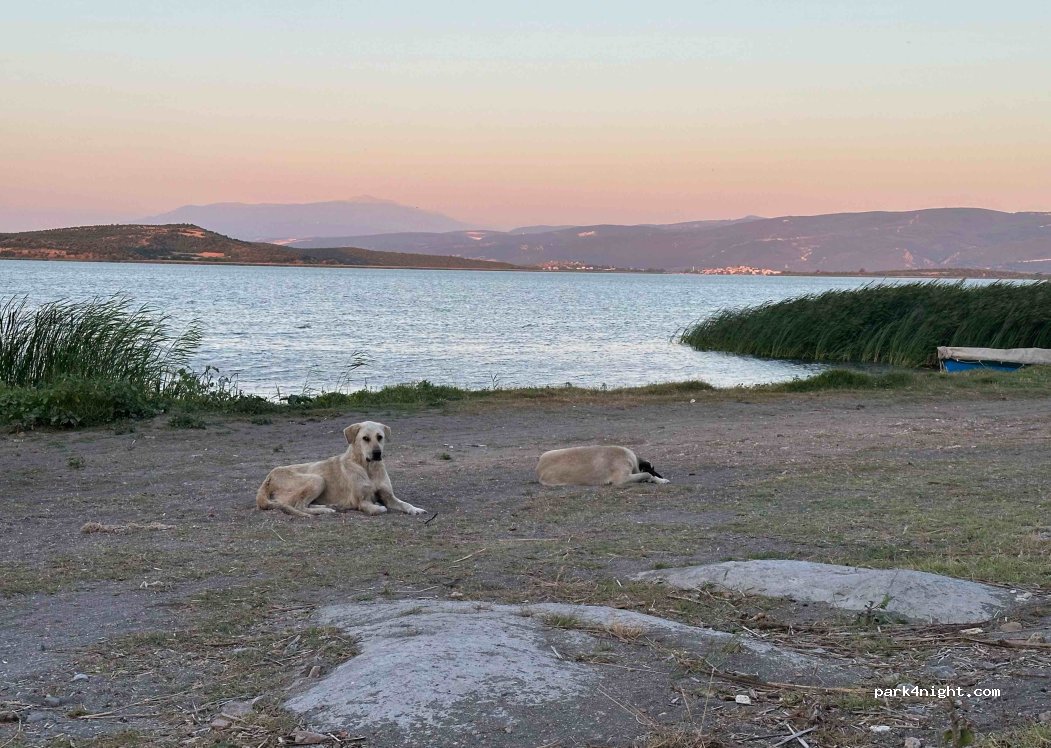 (16710) - Eskikaraağaç Köyü İç Yolu — foto 2