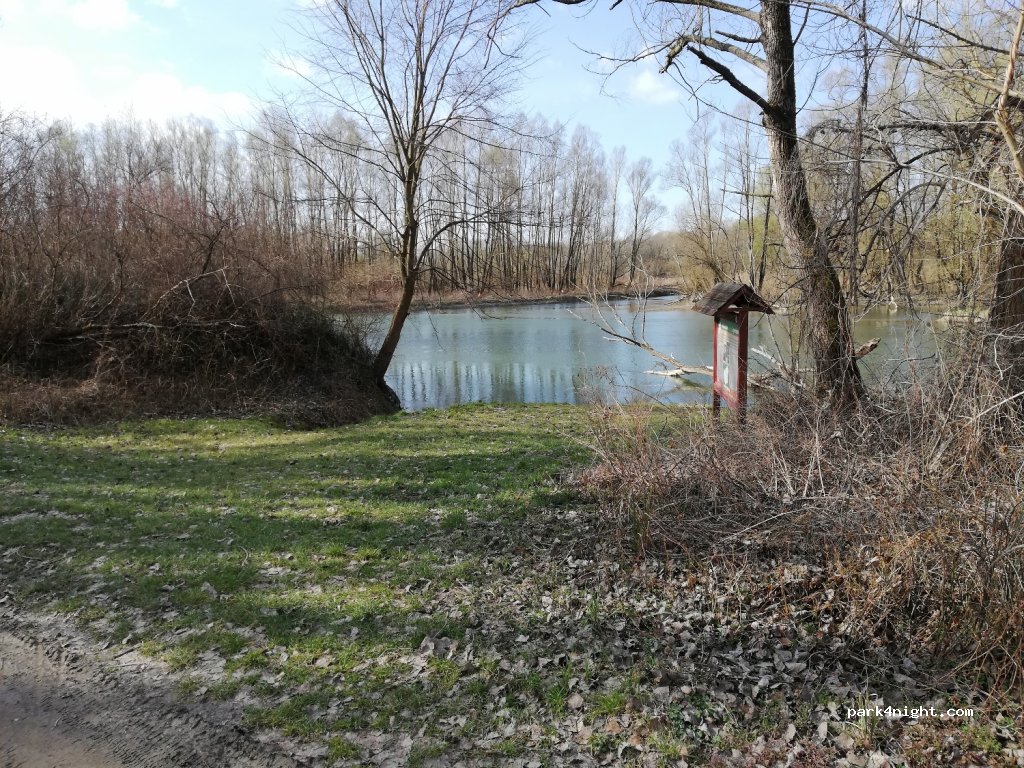 (7588) Vízvár - 42 Dráva utca — foto 2