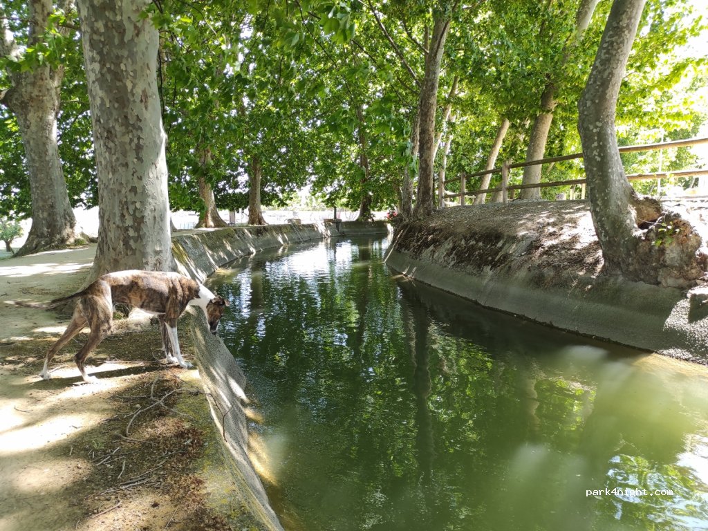 (25430) Juneda - 6 Carrer del Canal d'Urgell — foto 3
