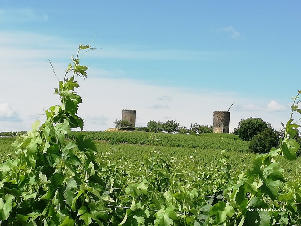 Vignoble Maurin — foto