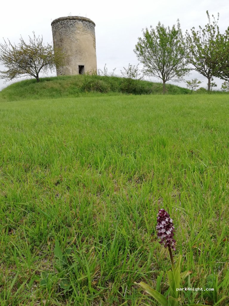 Vignoble Maurin — foto 3