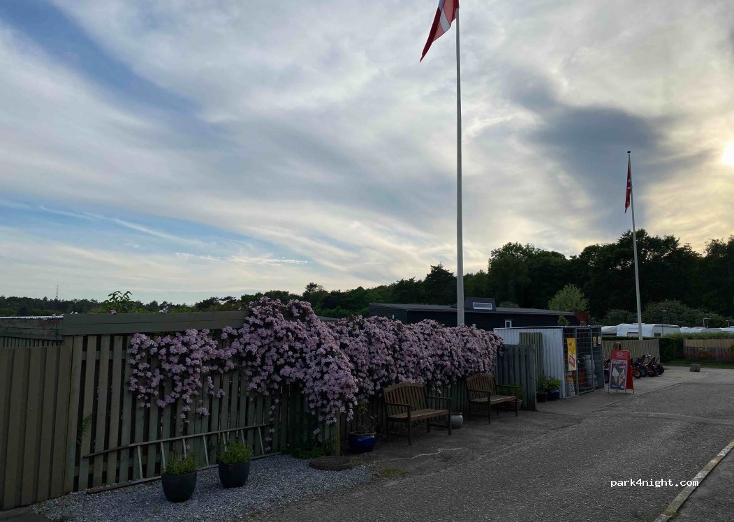 Camping DCU-Camping Rågeleje Strand — foto 2