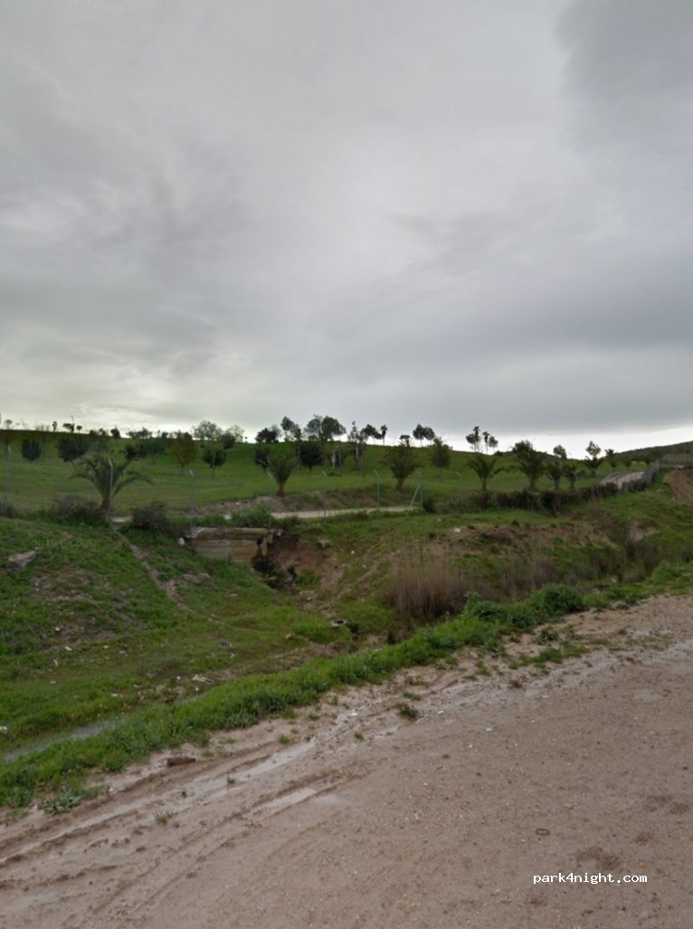(41530) Morón de la Frontera - — foto
