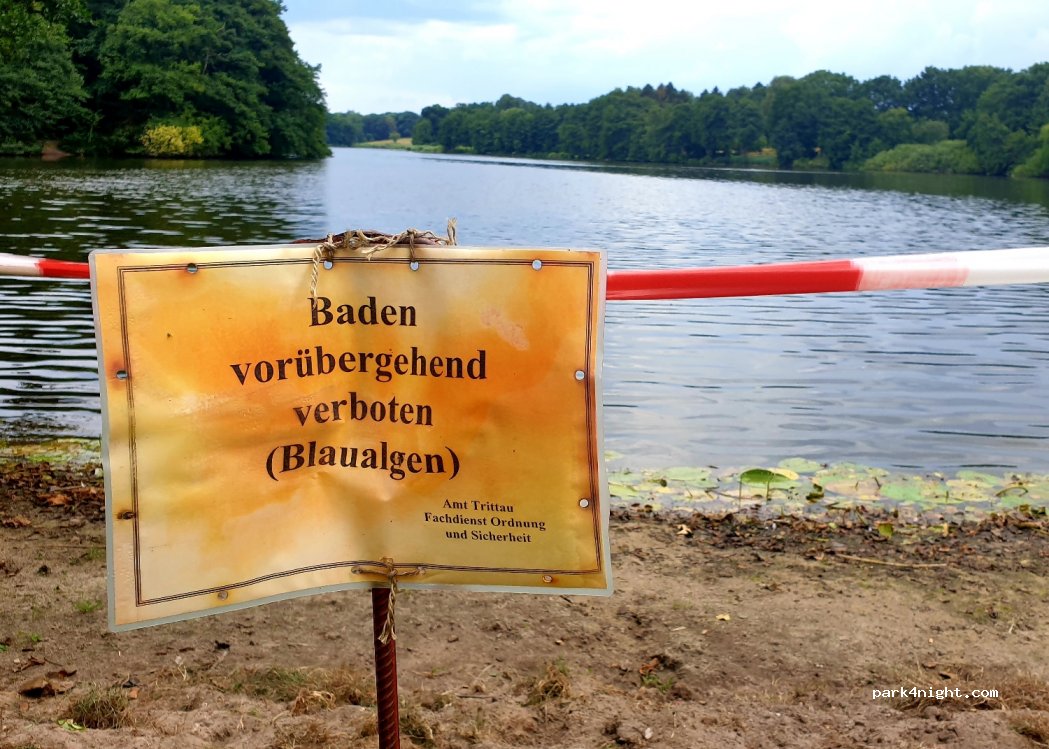 (22952) Lütjensee - 1 Seeblick — foto 4