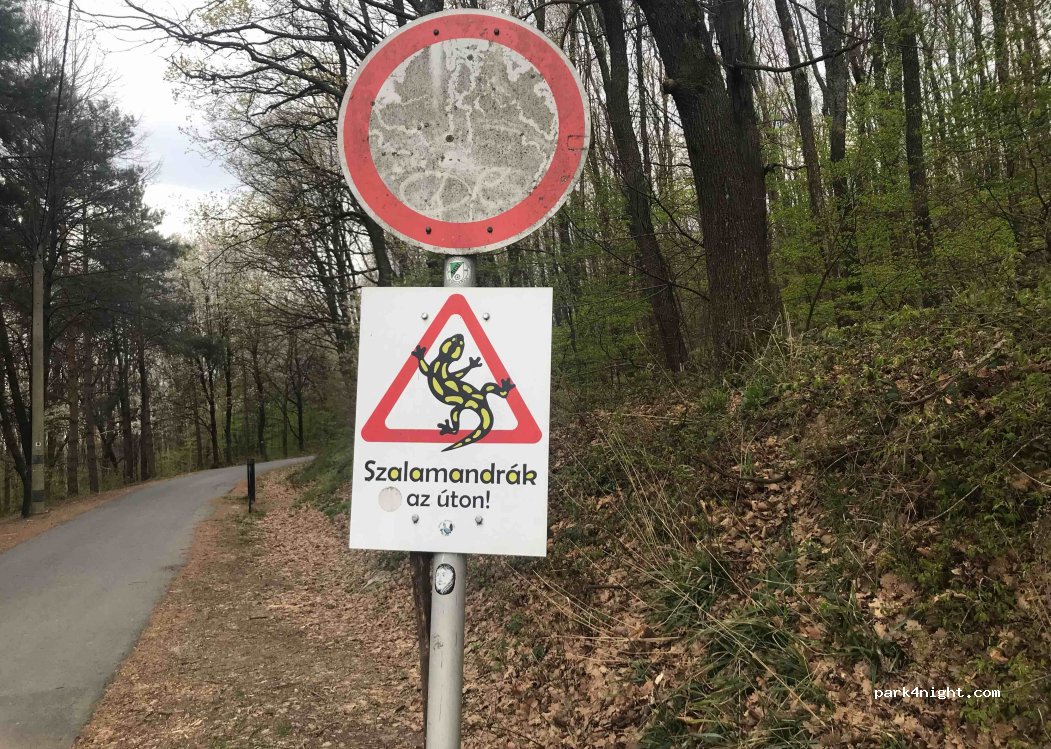 (9730) Kőszeg - Tölgyes út — foto 3