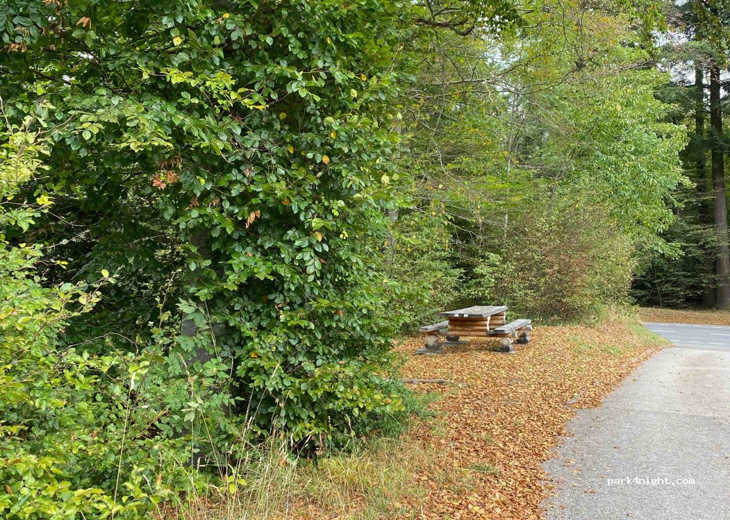 (1682) Romont - Route des Trois Sapins — foto 3