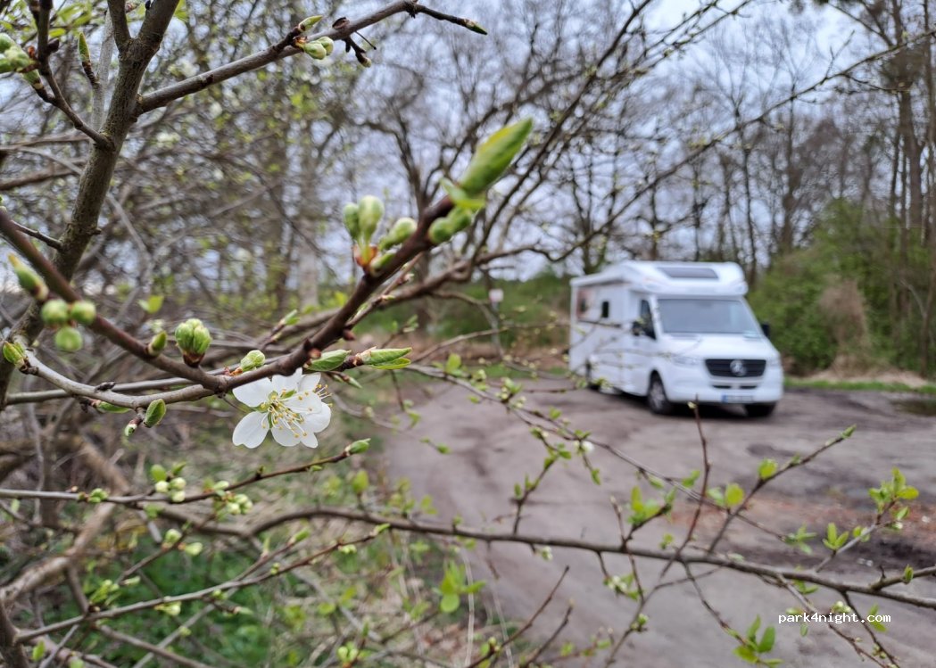 (14728) Kleßen-Görne - — foto 3