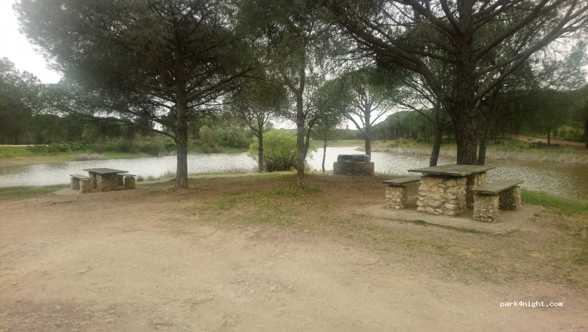 (21840) Niebla - Unnamed Road — foto