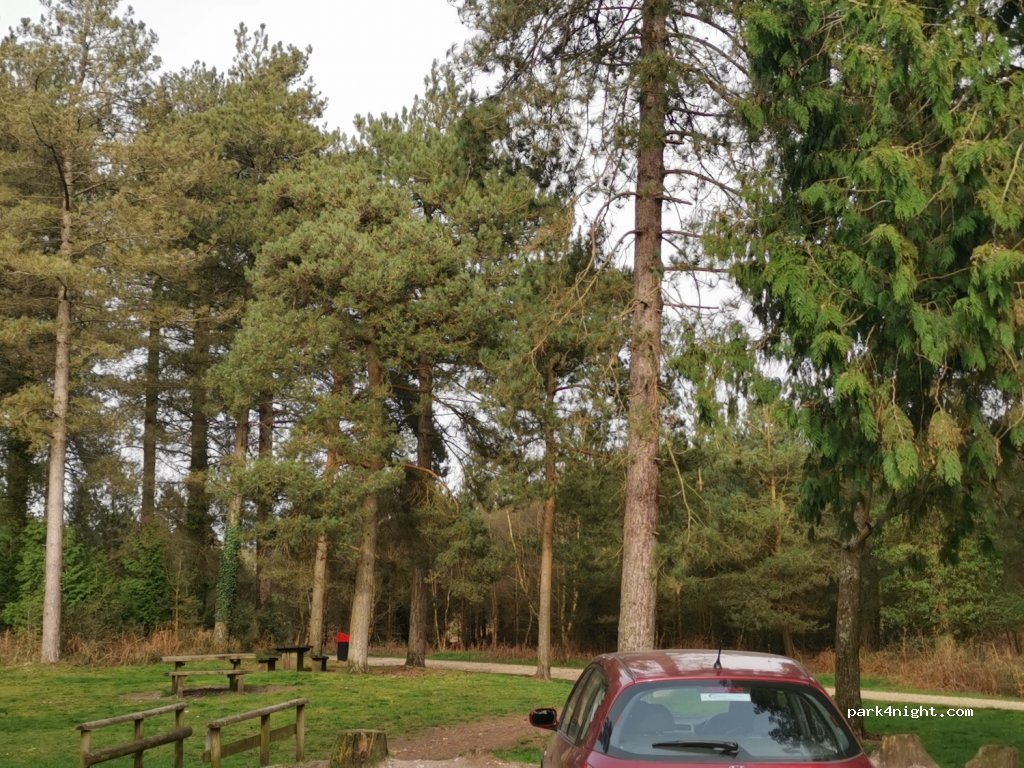 (BH20 7AP)  - Morden Road — foto