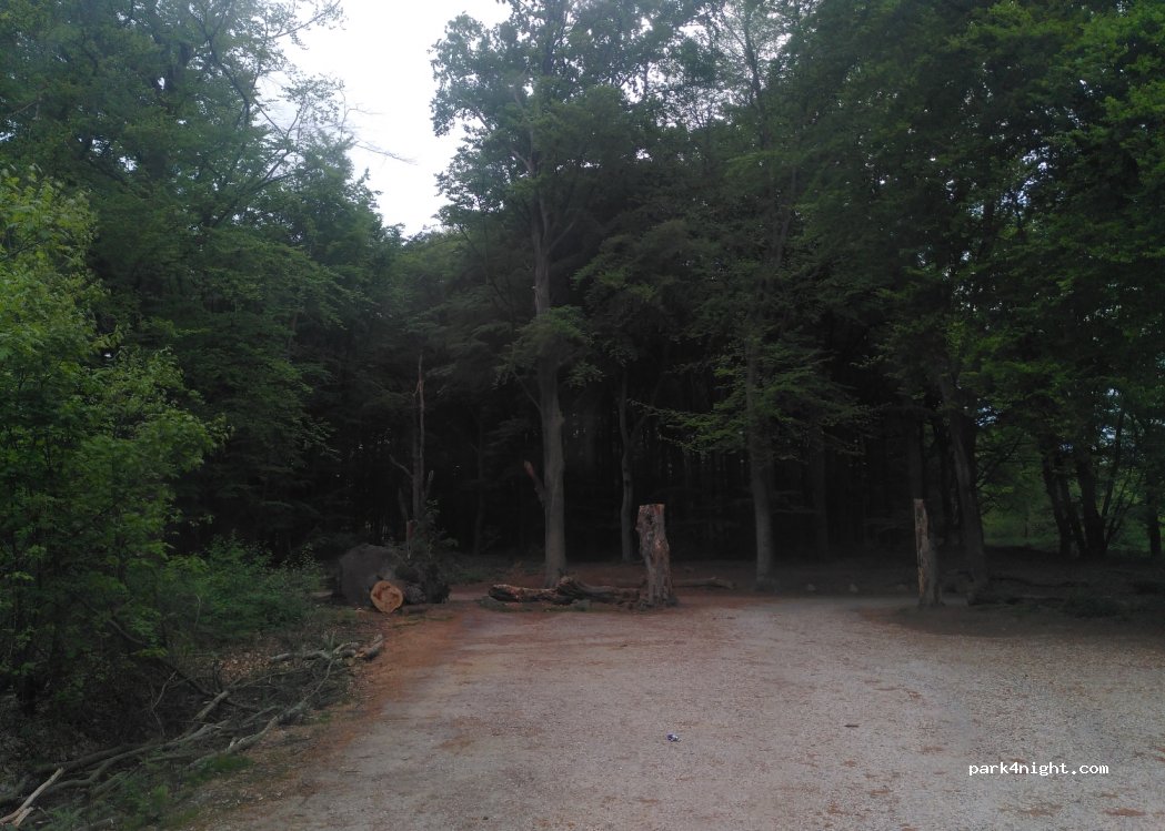 (3744 MK) Baarn - 1 Wildenburglaan — foto 2