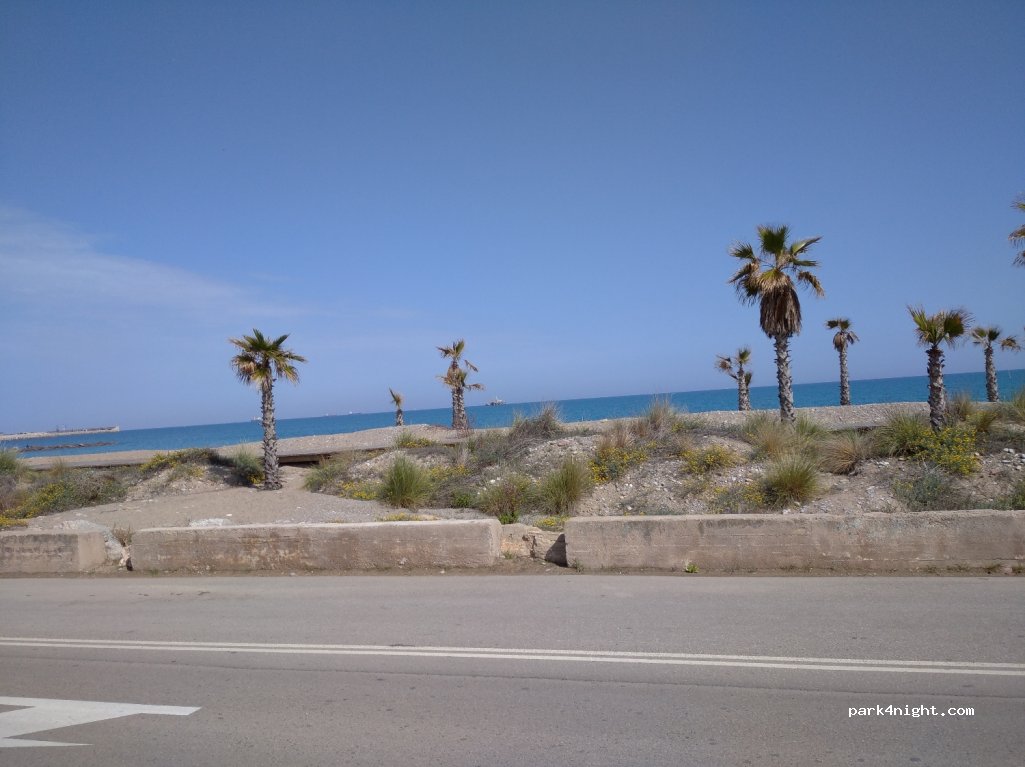 (12550) Almassora - 54 Partida Catalans Urb — foto