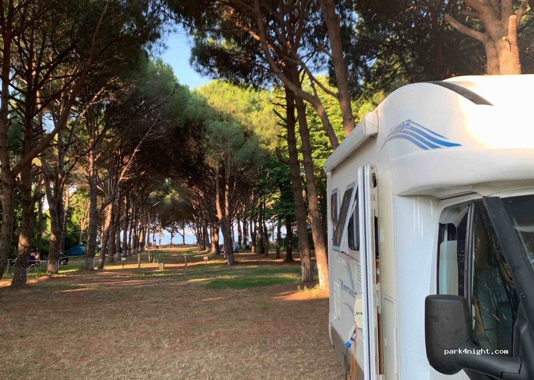 Camping Ant — foto