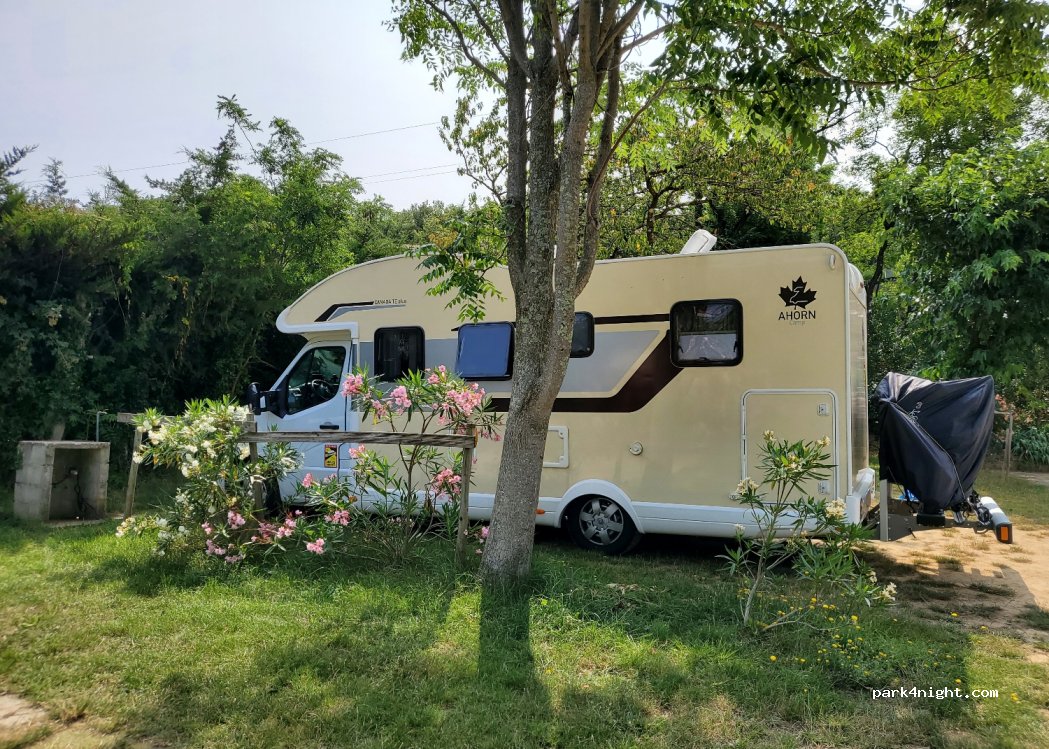 Camping Floral — foto 4