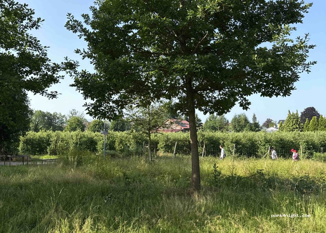 (88131) Lindau (Bodensee) - 34 Achstraße — foto 4