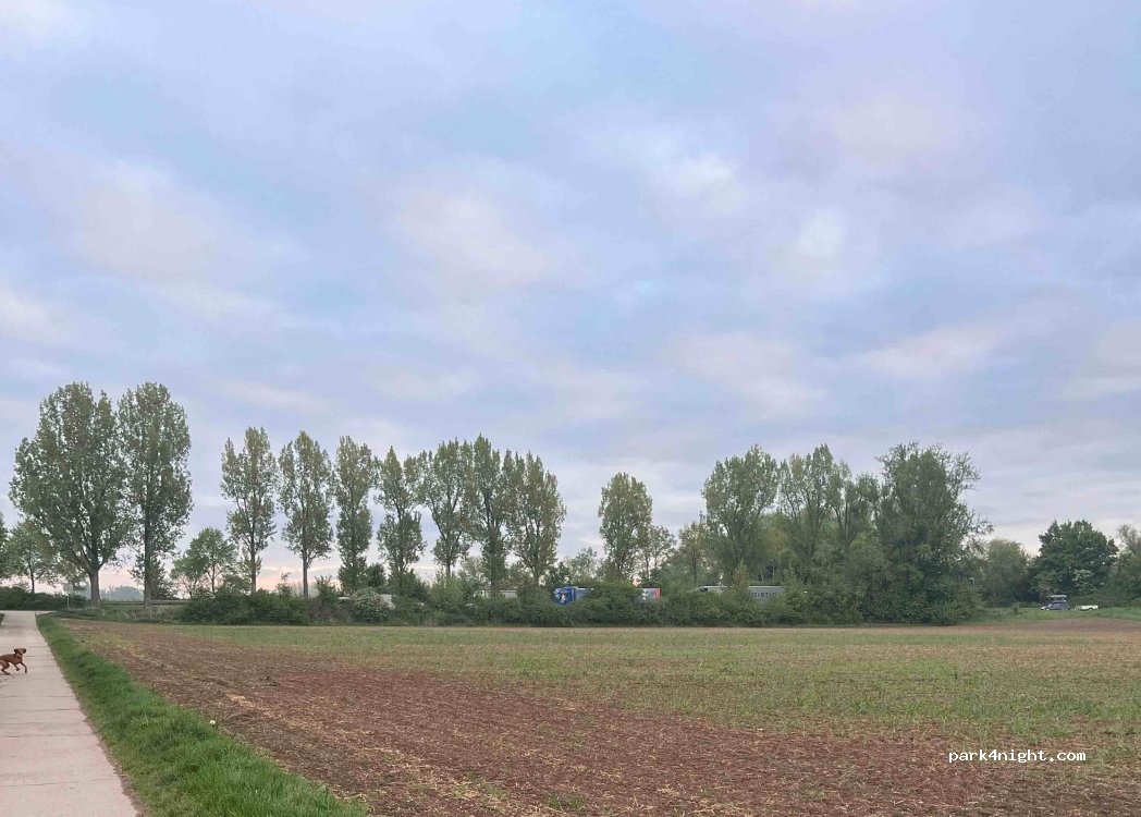 (64673) Zwingenberg - K67 — foto 3