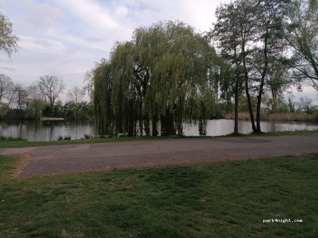 (50189) Elsdorf - 47 Römerstraße — foto