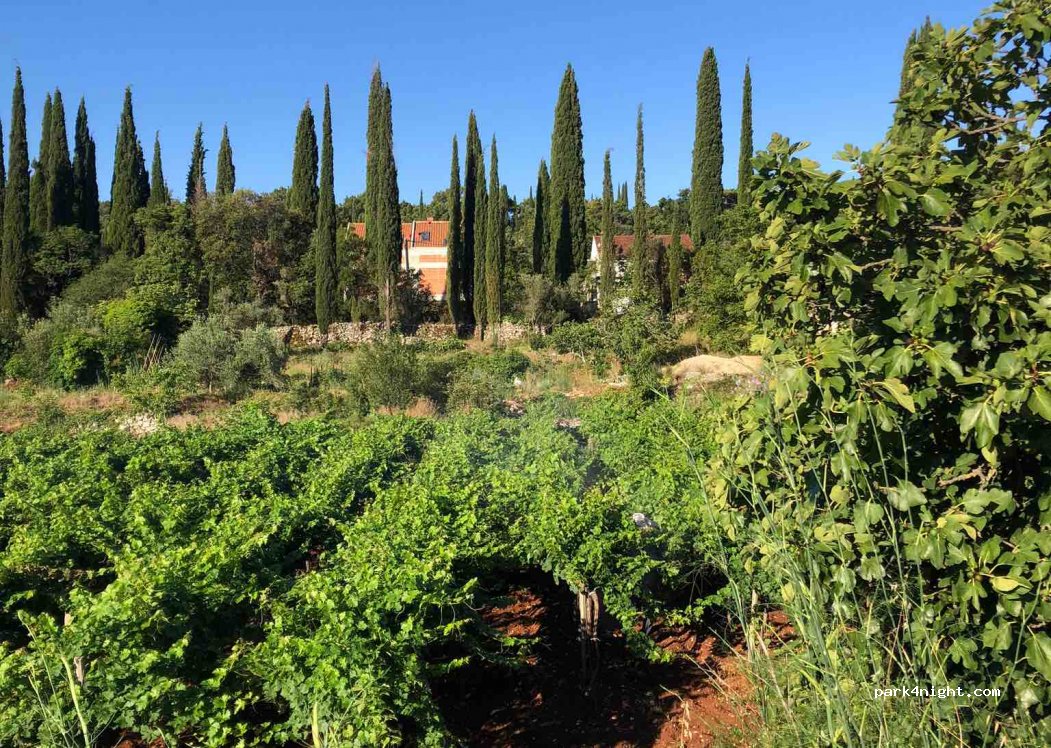 Camperstop Vineyard — foto 2