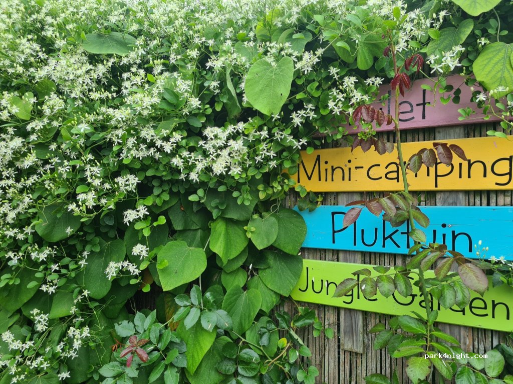 Minicamping De Bloementuin — foto 4